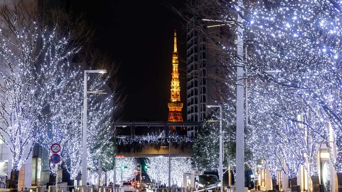 롯폰기 힐즈 케이키자카 일루미네이션