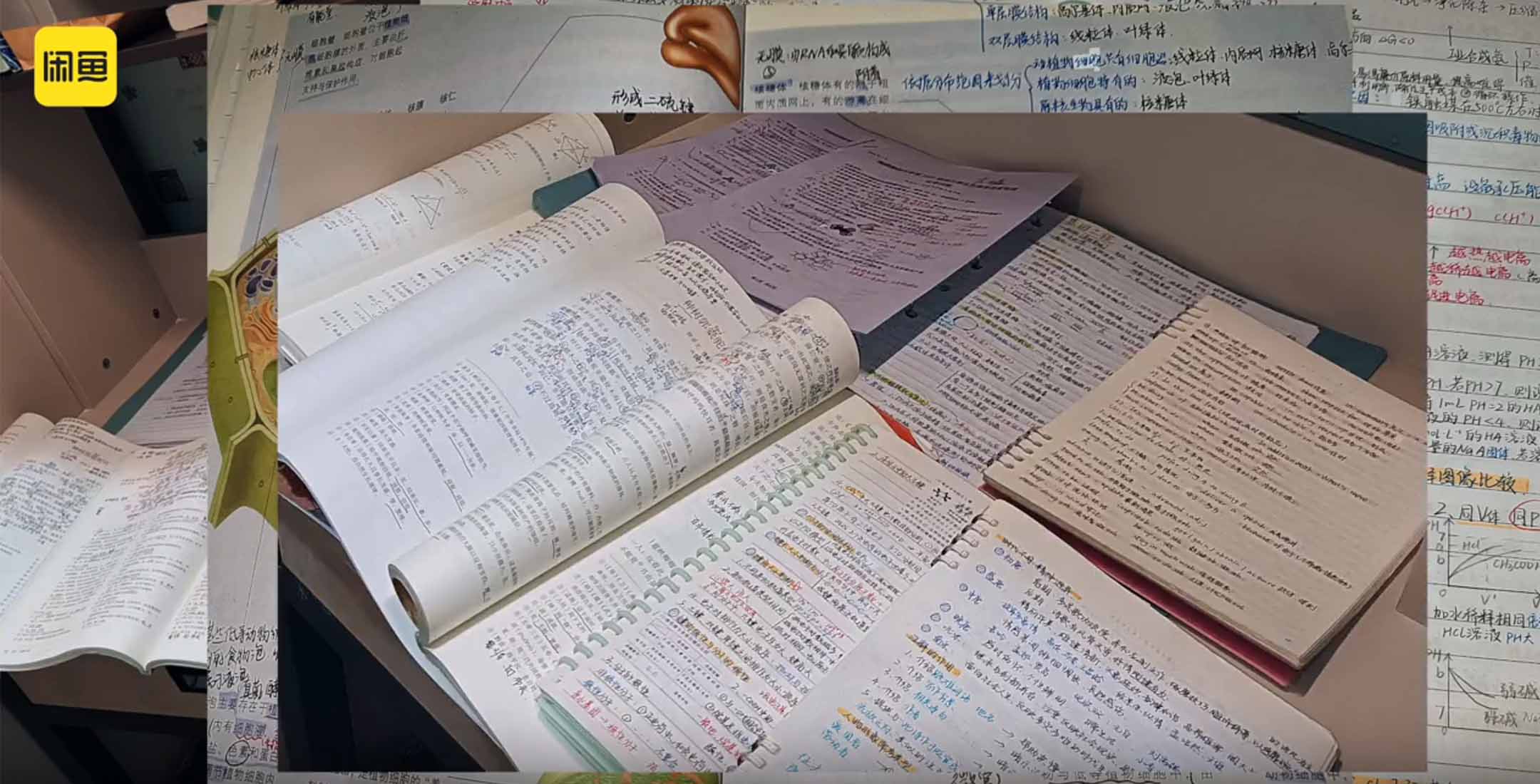 중국판 중고거래 플랫폼 알리바바 산하 셴위(闲鱼)의 광고. 사람들이 공부한 노트들도 중고 거래 대상이 된다.