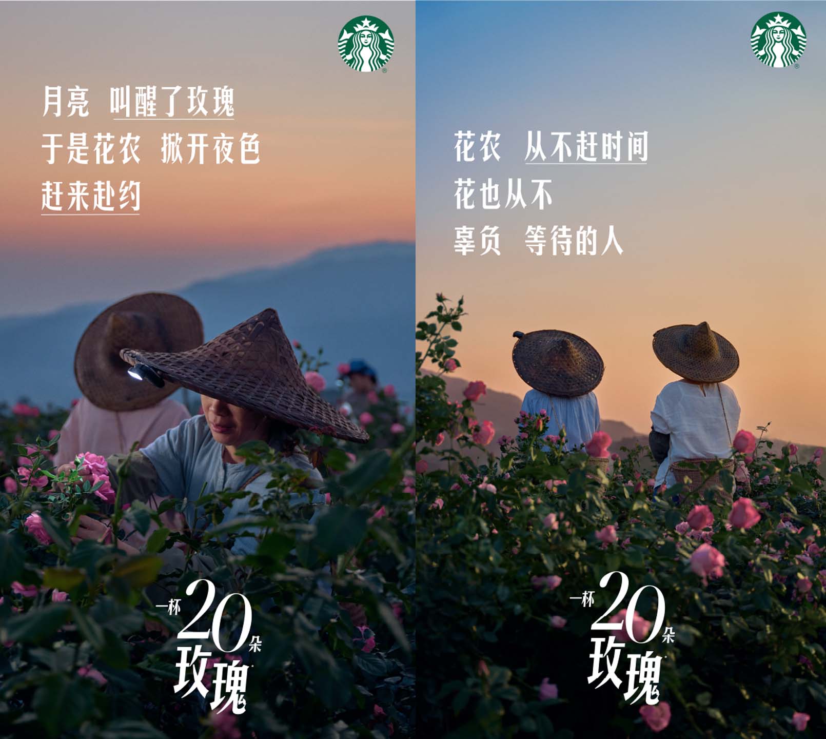 스타벅스 차이나가 출시한 음료 '로즈20' 홍보 포스터. 꽃 농부들이 새벽에 밭에서 장미들을 따고 있는 모습.