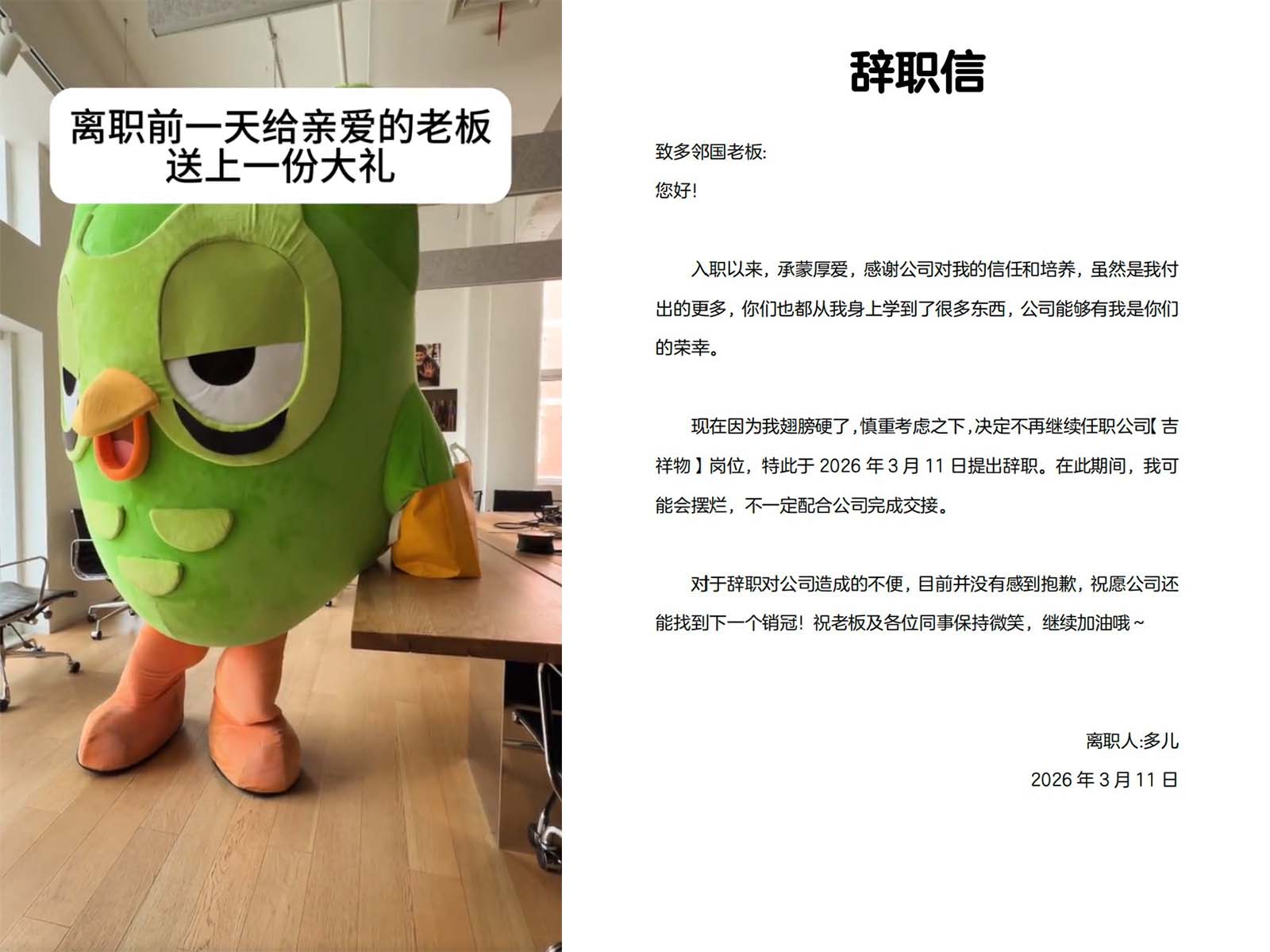 듀오링고의 마스코트 ‘두어(多儿)’가 일하느라 지친 모습과 부엉이가 직접 쓴 사직서.