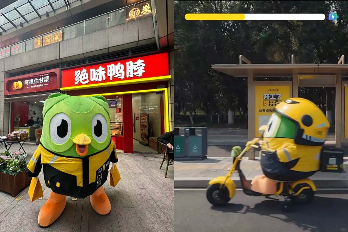 듀오링고 | 듀오링고 캐릭터는 어쩌다 메이퇀 배달 기사가 됐을까?