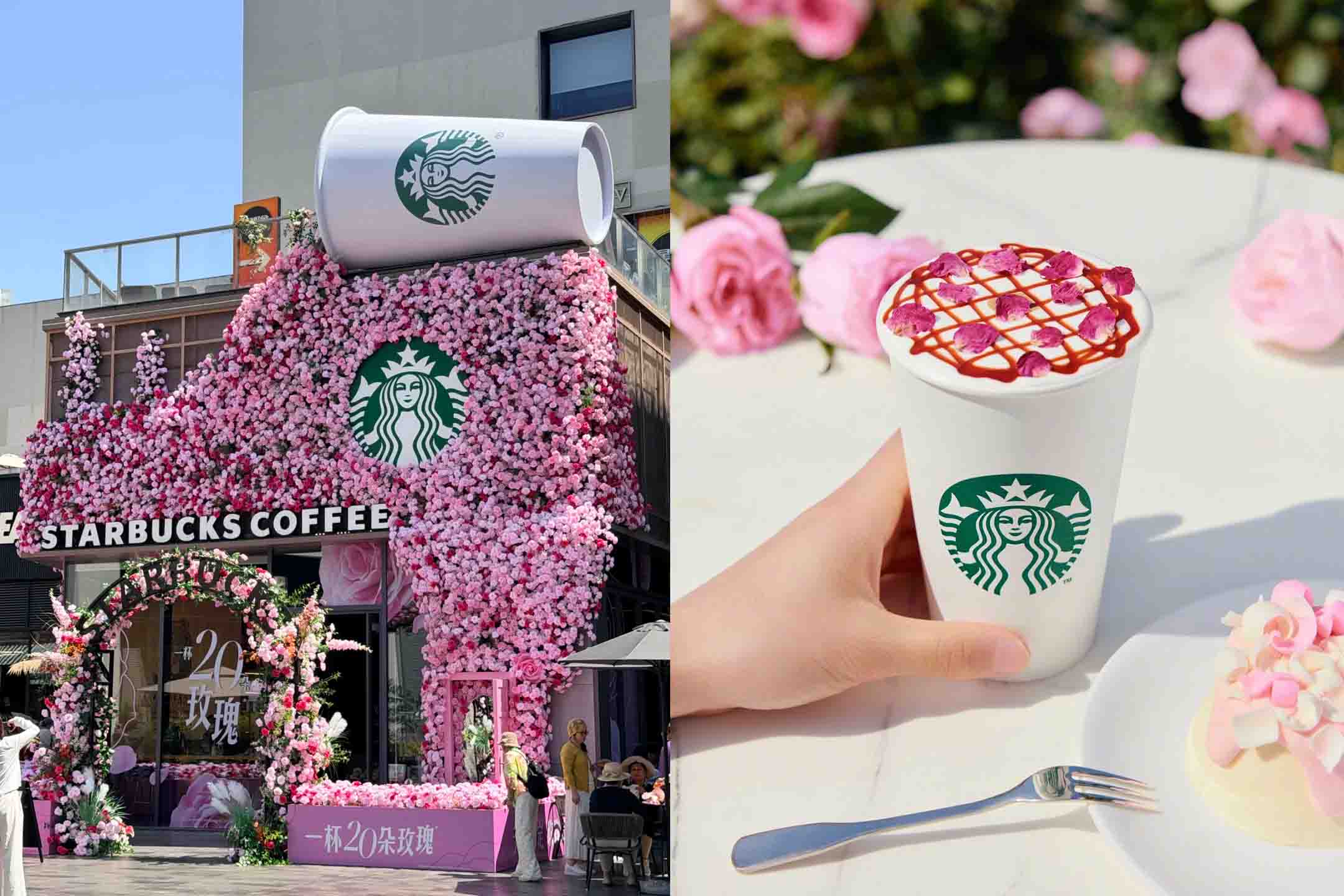 스타벅스 | 새벽 2시의 장미에서는 어떤 맛이 날까?